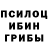 Псилоцибиновые грибы Cubensis Maciej Rzezwicki
