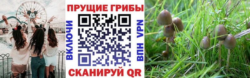 Галлюциногенные грибы мухоморы  где найти наркотики  Весьегонск 
